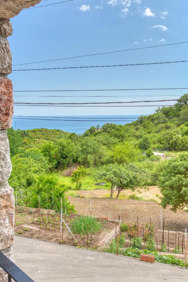 Vila Stari Mlin Ivanovici Exteriér fotografie