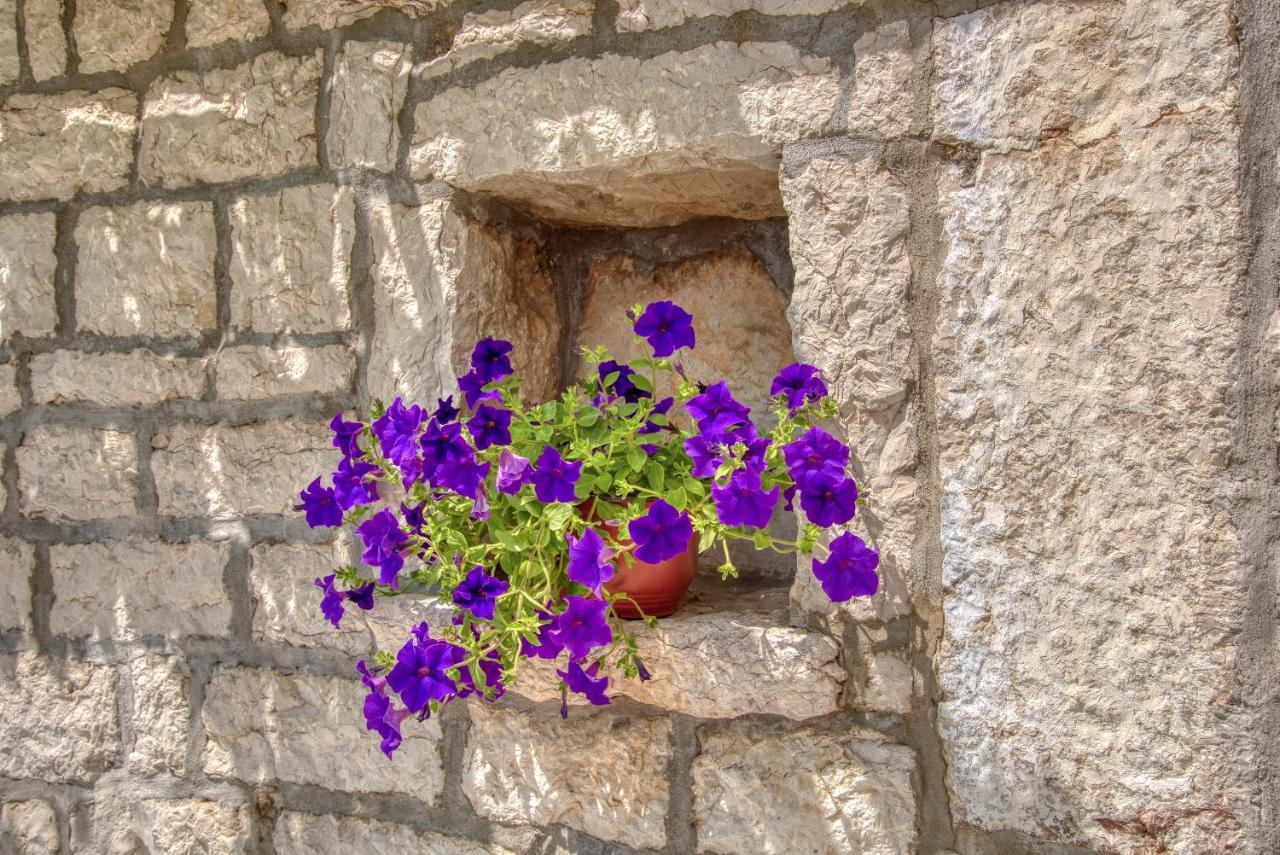 Vila Stari Mlin Ivanovici Exteriér fotografie