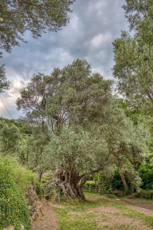 Vila Stari Mlin Ivanovici Exteriér fotografie